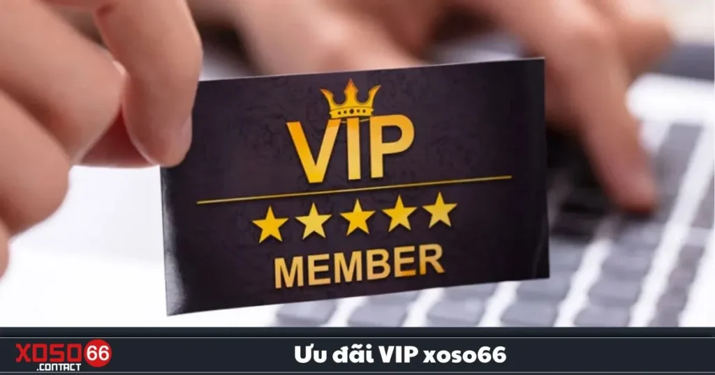 Ưu Đãi VIP Xoso66 – Đặc Quyền Dành Riêng Cho Người Chơi 3 Ưu Đãi VIP Xoso66 – Đặc Quyền Dành Riêng Cho Người Chơi